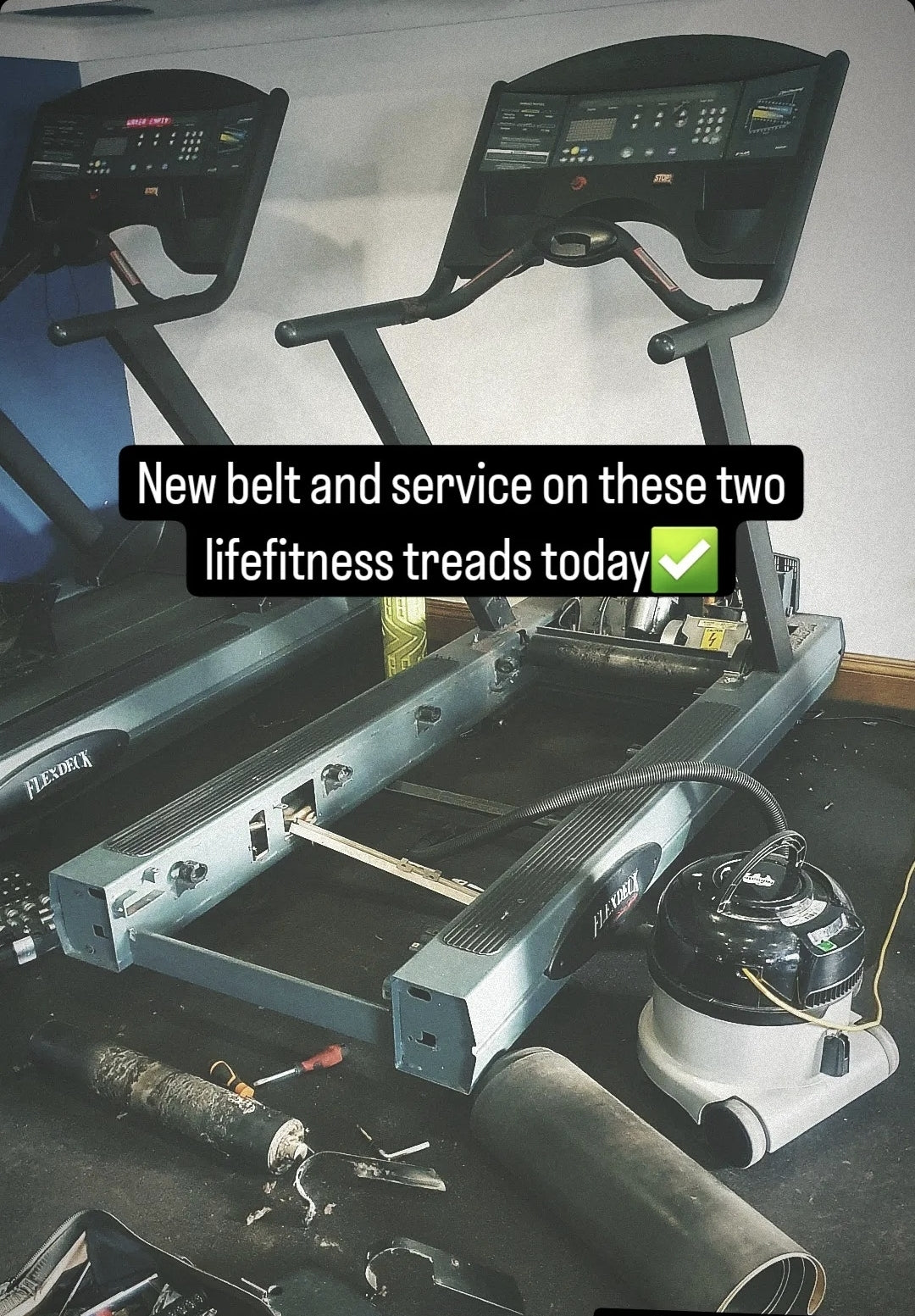 LifeFitness Treadmill Belts